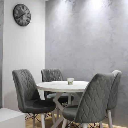 In Silver Apartment Vrsac