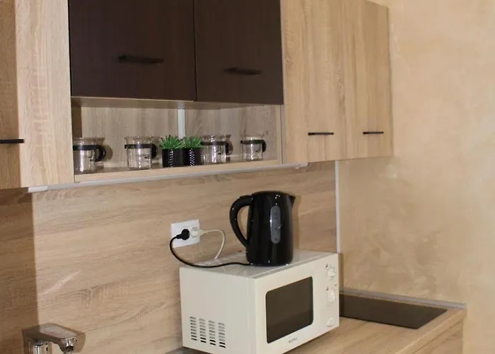 In Silver * 弗尔沙茨